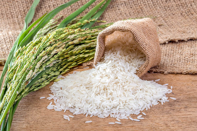 tiểu đường tránh ăn gạo trắng